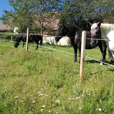 Bergblick * Sankt Blasen
