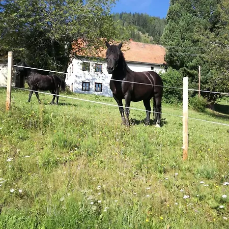 Chalet Bergblick Sankt Blasen