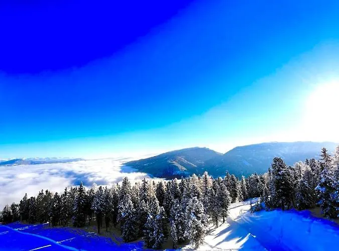 Bergblick 木屋 Sankt Blasen