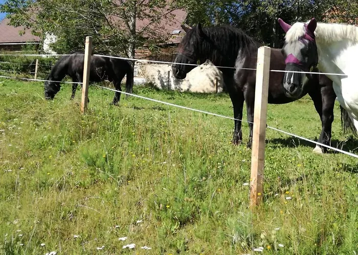 Bergblick * Sankt Blasen