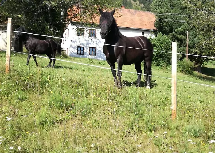 木屋 Bergblick Sankt Blasen